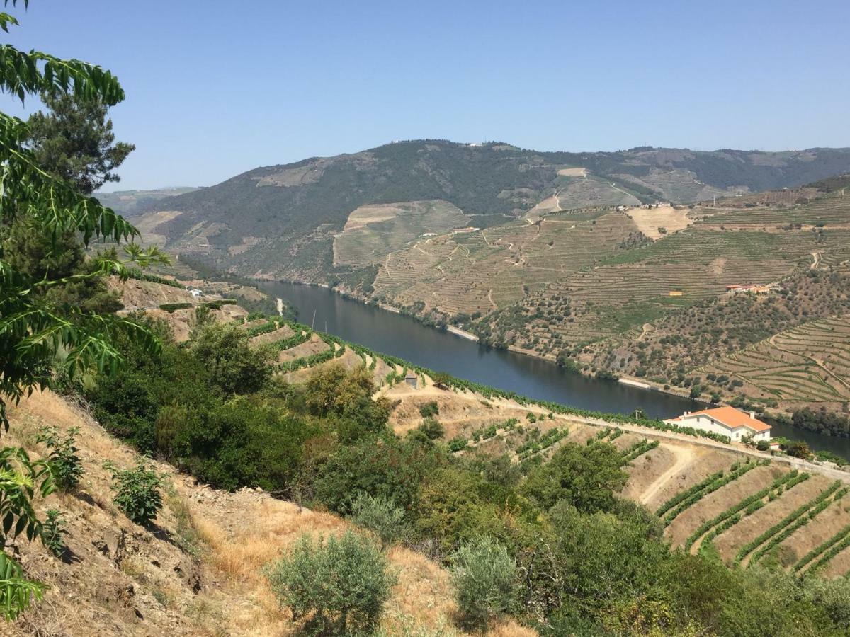 Refugio D'Anita Douro Valley House Barcos Exteriör bild